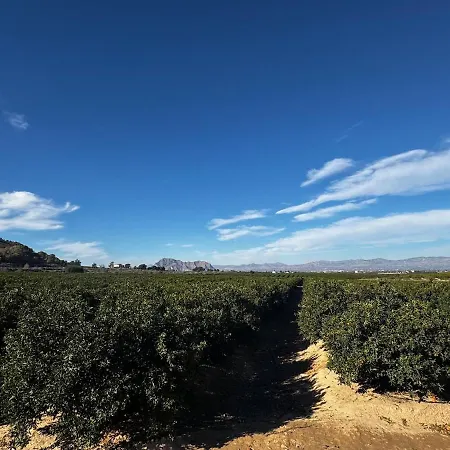 Casa Campo Herrero Algorfa