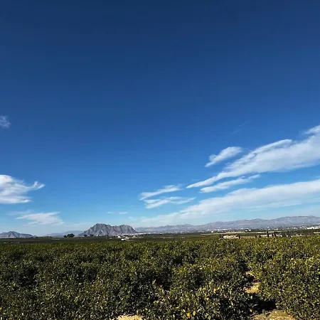 Ferienhaus Casa Campo Herrero Algorfa